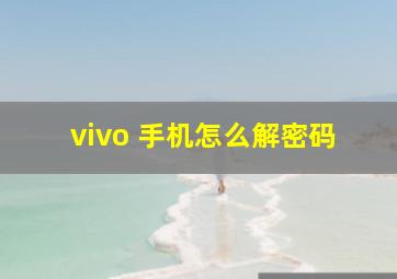 vivo 手机怎么解密码